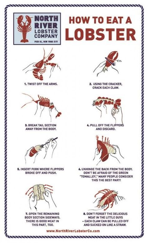 How to eat lobster graphic guide Far too many people discard delicious meat from lobsters. Whole Lobster Recipes, Red Recipes, Cooked Lobster, Lobster Boil, Lobster Recipes, Maine Lobster, Food Facts, Fish Dishes, Beach Time