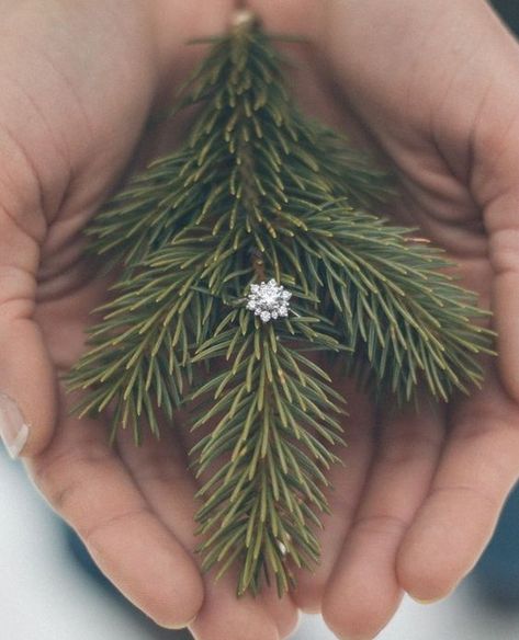 Azazie on Instagram: “Will you spend the rest of your life by my side? 💍💕 How did your S.O. propose to you? ⁠ ⁠ @adam_tempest_” Christmas Wedding Rings, Winter Wedding Proposal, Christmas Wedding Picture Ideas, Winter Engagement Ring, Christmas Wedding Photo Ideas, Wedding Photo Ideas Winter, Engagement Photos In Winter, Engagement Photos Pine Trees, Winter Wedding Photoshoot