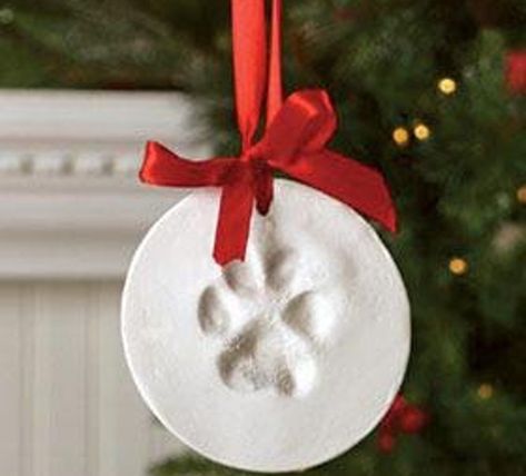 Stop by Hollywood Feed between 11am and 4pm this Sunday, December 4th to make ornaments with your dog's pawprint on them! All proceeds benefit the Animal League of Birmingham. #rubadubdog #dogs #birmingham Pawprint Ornament, Dogs Paw, Paw Print Ornament, Pet Paw Print, Diy Ornament, Merry Bright Christmas, Ornament Kit, Cat Ornament, Unique Holiday Gifts