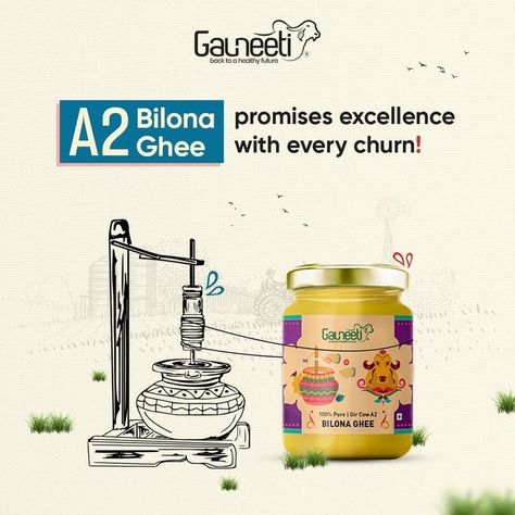 Gir Cow, Glam Wallpaper, Ghee Benefits, Grocery Ads, Hotel Ads, Cow Illustration, Cow Ghee, Creative Jewelry Photography, Creative Advertising Design