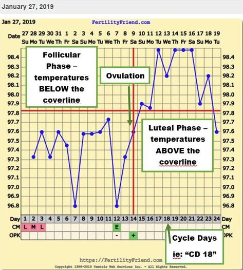 Basal Body Temperature Chart, Bbt Chart, Ovulation Cycle, Fertility Tracking, Ovulation Tracking, Basal Body Temperature, Natural Family Planning, Baby Dust, Seed Cycling