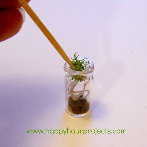 Tiny Terrarium, I Love My Husband, Terrarium Necklace, I Like Him, Glass Terrarium, Succulent Arrangements, Love My Husband, Glass Containers, Earth Day