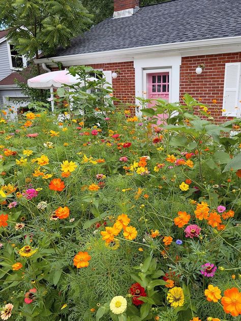 Wild Flower Front Garden, Wildflower Yard Ideas, Front Yard Wildflower Landscaping, Wildflower Front Yard Landscaping, Wildflower Garden Front Yard, Wildflower Front Yard, Nashville Landscaping, Wildflower Yard, Mud Puddle