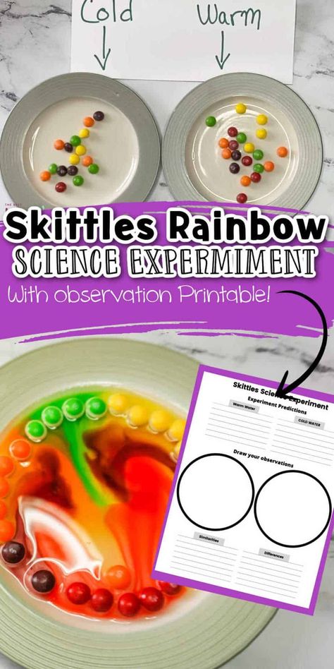 This easy skittles experiment is one that the kids will love, and while having fun they will be learning too! With this Easy Rainbow Skittles science experiment kids will learn about absorption, dissolving, and Water stratification. Rainbow Skittles Science Experiment, Skittle Rainbow Experiment, Skittle Science Experiment, Skittles Experiment For Kids, Skittles Science Fair Project, Skittle Experiment, Skittles Rainbow Experiment, Skittles Science Experiment, Skittles Science