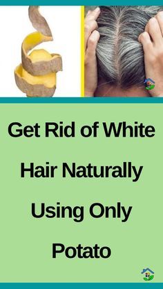 Can you believe that potatoes have a practical effect on white hair? It’s true! Potato is actually an effective solution for combating gray hair if used regularly. In this article, we’ll show you how to prepare and apply potatoes to fight premature graying. I- What you Will Need : – The peels of 5 potatoes. […] White Hair Solution, Remedy For White Hair, Potato For Skin, Diy Facial Hair Removal, Diy Apothecary, Grey Hair Remedies, Food For Kidney Health, Boil Lemons, Health Herbs