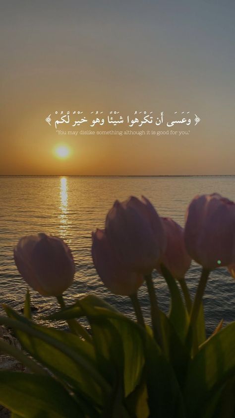 Wallpaper Islamic Quotes, Iphone Wallpaper Scenery, Wallpaper Quran, Wallpaper Islamic, Hd Wallpaper Quotes, Instagram Story App, Quran Wallpaper, Islamic Wallpaper Iphone, Wallpaper Beautiful