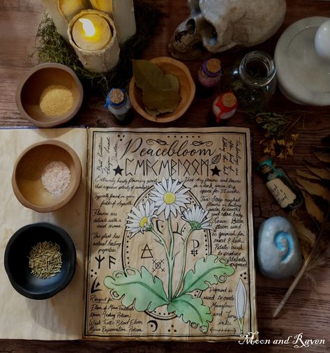 Peacebloom Alchemy Page, Herbalist Book of Shadows, World of Warcraft Role Play, Herb Grimoire, DIGITAL DOWNLOAD, WoW Gift Herbal Grimoire, Herbalist Shop, Larp Props, Plant Study, Alchemic Symbols, Herbal Magic, Witchy Things, Her Book, Sketches Simple