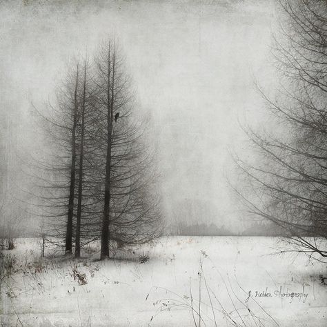 Jamie Heiden - Artistic Photography Black And Grey Surrealism Tattoo, Watercolor Art Black And White, Watercolor Art Black, Surrealism Tattoo Design, Jamie Heiden, Surrealism Tattoo, White Landscape, Black And White Landscape, Photographic Artist