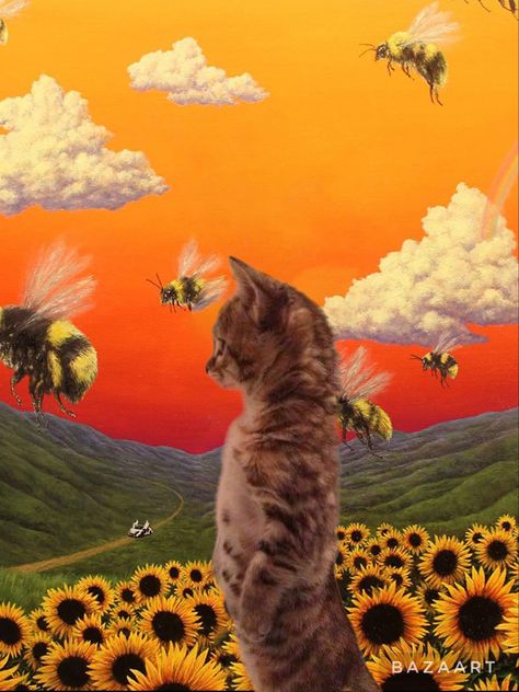 Cat Album Covers, Tyler The Creator Wallpaper, Ugly Cat, Cool Album Covers, Cat Stands, Silly Cats Pictures, Music Album Covers, Pet Animals, Animals Funny