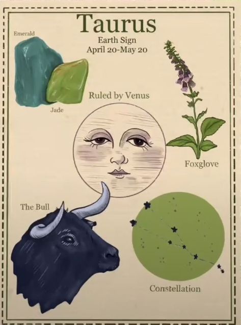 Taurus Art, Astrology Taurus, Zodiac Signs Taurus, Taurus Sign, Witch Spell Book, Earth Signs, Zodiac Art, Taurus Zodiac, Vintage Poster Art