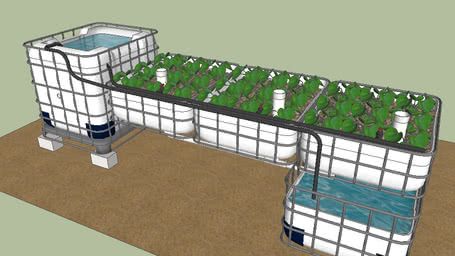 Backyard Aquaponics | 3D Warehouse Aquaponics Greenhouse, Backyard Aquaponics, Living Pool, Aquaponics Fish, Aquaponics Diy, Film Technique, Hydroponic Farming, Aquaponic Gardening, Bedroom Barndominium