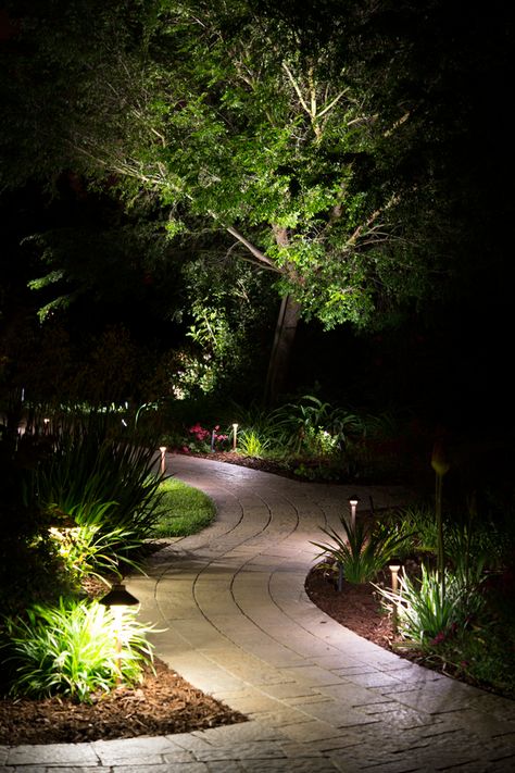 Landscape Lighting ... I want them nice and bright ... I don't like the dim cheap look of the solar powered lights ... Path Lighting Ideas, Garden Path Lighting, Garden Lighting Design, Landscape Lighting Design, Backyard Lighting, Landscape Designs, Have Inspiration, Pathway Lighting, Garden Pathway