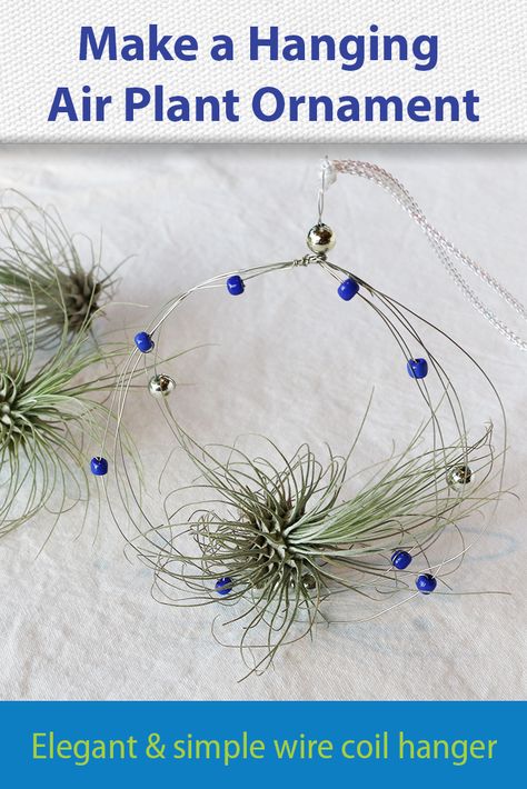 Diy Plant Ornaments, Air Plant Ornament, Crystal Jewelry Ideas, Elegant Farmhouse Decor, Houseplant Ideas, Air Plants Diy, Gardening Inside, Plant Display Ideas, Rock Animals