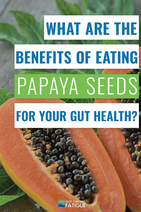 What Are The Benefits Of Eating Papaya Seeds For Your Gut Health? Papaya Seeds How To Eat, Benefits Of Eating Papaya, Papaya Health Benefits, Papaya Benefits, Papaya Recipes, Health Essentials, Seeds Benefits, Papaya Seeds, Summer Diet