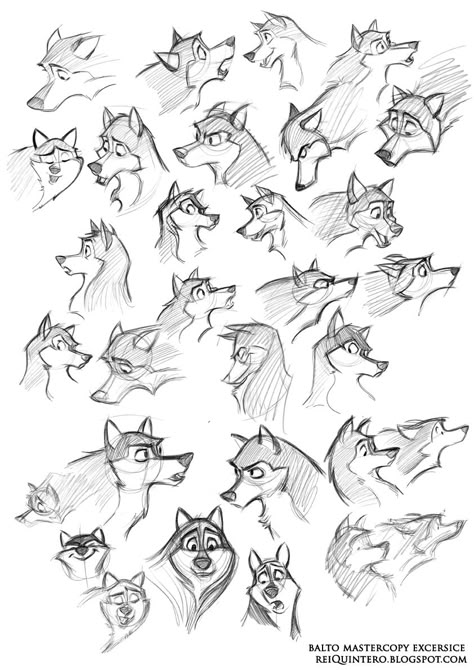 Faces Character Design, Wolf Totem, Draw Faces, Character Design Cartoon, Drawing Eyes, Drawing Animals, 캐릭터 드로잉, Animation Reference, Poses References