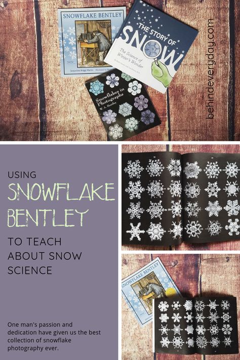 Snow Science, Snowflake Photography, Snowflake Pictures, Snowflake Bentley, Micro Photography, Snowflake Photos, Kindergarten Curriculum, Snow Crystal, Beautiful Books