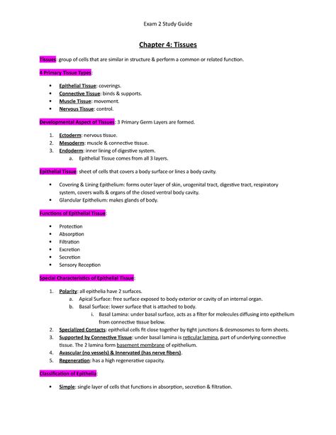 Exam 2 Study Guide - Exam 2 Study Guide Chapter 4: Tissues Tissues: group of cells that are similar - StuDocu Hesi A2 Study Guide Biology, Anatomy Tissues Study, Anatomy And Physiology Tissues, Cells And Tissues Anatomy Notes, Anatomy Study Guide, Anatomy Tissue Notes, Nervous Tissue Notes, Anatomy Tissues, Teas Exam Study Guides