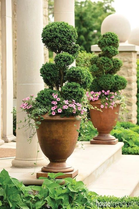 Front Porch Plants, Outdoor Topiary, Home Garden Ideas, Peaceful Garden, Garden Planters Pots, Topiary Garden, Garden Urns, Flower Pot Garden, Low Maintenance Garden