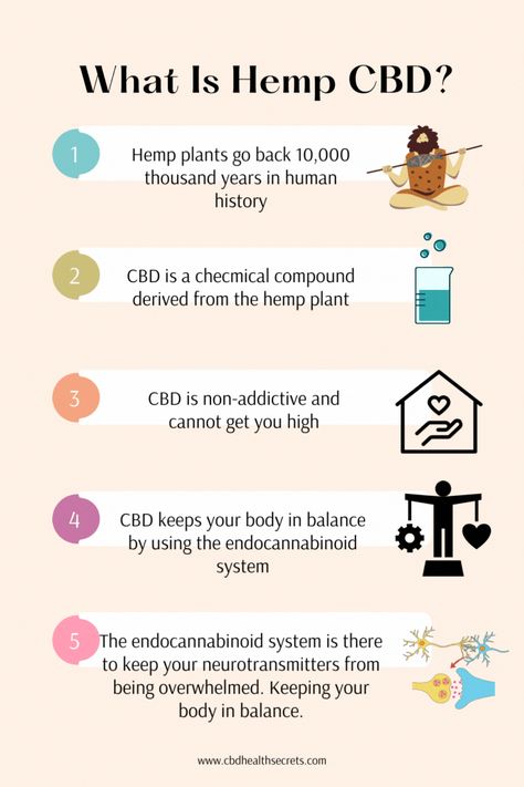 See what hemp CBD is and what it is about. Endocannabinoid System, Science