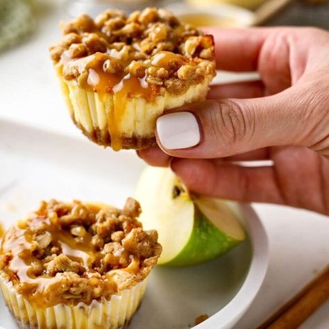 Best Caramel Apple Mini Cheesecakes With Streusel Topping - Yummy and fully Apple Mini Cheesecakes, Mini Apple Cheesecake, Caramel Apple Mini, Cider Donuts Recipe, Easy Baked Apples, Apple Cider Donuts Baked, Easy Chicken Casserole Recipes, Pumpkin Cream Cheese Muffins, Caramel Apple Cheesecake