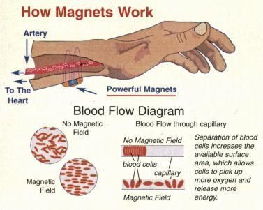 Magnet Therapy, Womens Health Magazine, Natural Beauty Care, Health Guru, Health Class, Magnetic Therapy, Magnetic Jewelry, Energy Medicine, Health Trends