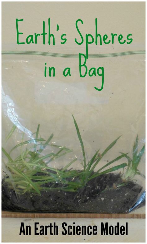 Model the biosphere, atmosphere, geosphere, hydrosphere in a zip-loc bag! Geosphere Projects, Earth Spheres Project, Geosphere Biosphere Hydrosphere Atmosphere, Hydrosphere Project, Earths Spheres, Biosphere Project, Zentangle Patterns For Beginners, Earth Systems, Earth Science Projects