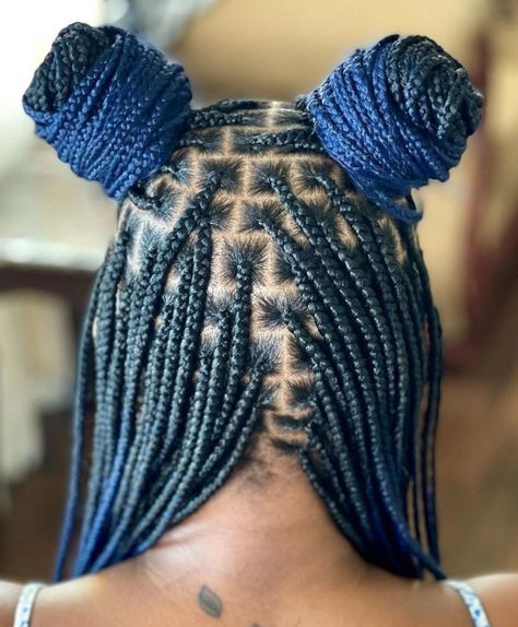 Half Space Buns with Blue Box Braids Blue Box Braids, 2 Buns, Purple Box Braids, Braided Space Buns, Red Box Braids, Triangle Box Braids, Braids Updo, Hairstyles Theme, Braids Ideas