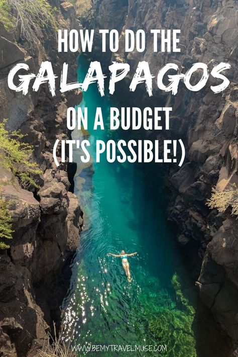 Galapagos Islands Travel, South America Destinations, Ecuador Travel, Budget Travel Destinations, Us Travel Destinations, Vacation Deals, Galapagos Islands, Destination Voyage, Budget Travel Tips