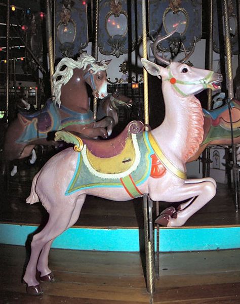 National Carousel Association - Forest Park Carousel - Muller Deer Unicorn Carousel, Carousel Rocking Horse, Carousel Horses Vintage Drawing, Carousel Animals, Old Carousel Horse, Olden Days, Carousel Horses, Forest Park, Amusement Parks