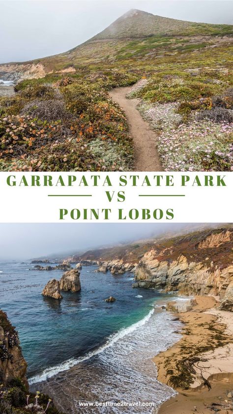 A coastal path with wild flowers and a stunning beach with huge rocks in Garrapata State Park The Jewel, Pacific Coast, The Pacific, State Park, State Parks, California, Water, Travel