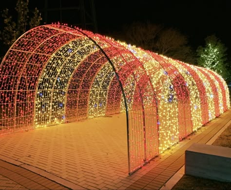 Holiday Light Tunnel, Christmas Tunnel, Wedding Lighting Ideas, Outdoor Christmas Diy, Backyard Graduation Party, Night Wedding Decor, Event Entrance, Fence Gate Design, Light Tunnel