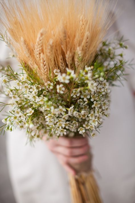 pretty and simple wheat and wild flower (?...not sure what those are) bouquet. White Waxflower, Wedding Flowes, Simple Bridesmaid Bouquets, Wheat Bouquet, Sundance Resort, Prairie Wedding, Bouquet Champetre, Hitching Post, Wax Flower