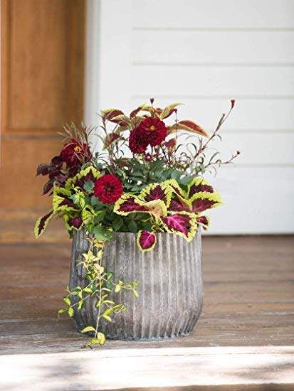 Galvanized Ribbed Barrel Planter, 12" Flowers Garden Aesthetic, Front Porch Flower Pots, Front Porch Flowers, Porch Flowers, Easy Plants To Grow, Rustic Planters, Barrel Planter, Container Gardening Flowers, Fall Planters