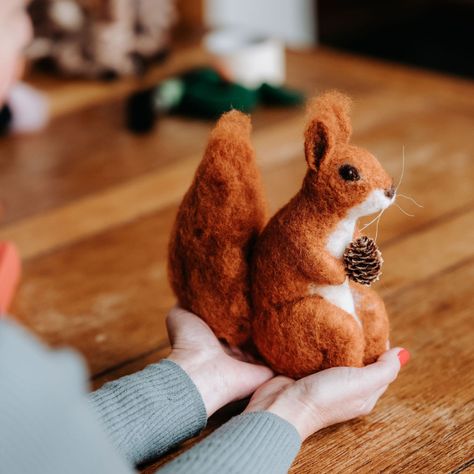 Create this wonderful, shy Highland red squirrel, complete with a very generous bushy tail! The Crafty Kit Company's needle felting craft kit contains everything you need to make this beautiful needle felted Red Squirrel. With step-by-step instructions and clear photographs you'll be shown how to make a wire armature, then build it up with felting wool, and finally add details to bring your red squirrel to life. Perfect for making yourself, or as a lovely boxed gift. - Suitable for enthusiasts - Needle Felting Animals, Christmas Needle Felting, Felt Squirrel, Felted Animals, Needle Felt Woodland Animals, Felted Squirrel, Needle Felting Squirrel Tutorial, Needle Felt Autumn, Squirrel Needle Felt