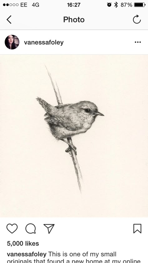 Wren Line Tattoo, Wren Flying Tattoo, Wren Tattoo Design, Jenny Wren Tattoo, Carolina Wren Tattoo, Fairy Wren Tattoo, Warbler Tattoo, Wren Tattoo Simple, Wren Sketch