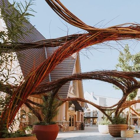 jean-louis muller on Instagram: "A beautiful project together with @mmvillage, @frassinago and @ateliervierkant for the campaign " Fashion is our Nature". Unique clay pots are intertwined with willow sticks to create a long organic structure. This installation demanded a lot of preparation and effort to build. The smooth and playful lines formed itself along the way. Each pot is planted with perennials, grasses and climbers to give some colour and texture. Special thanks to @devlechterij for all the support on this whole project. The snapshots by yours truly @stijnbrandsphoto   #naturalliving #ateliervierkant #maasmechelenvillage #frassinago #artinstallation #ceramicpots #clay #nature #willow #sculpture #natureart #woven" Willow Projects, Willow Structures, Clay Nature, Willow Sculpture, Willow Sticks, Living Willow, Garden Wood, Organic Structure, Campaign Fashion