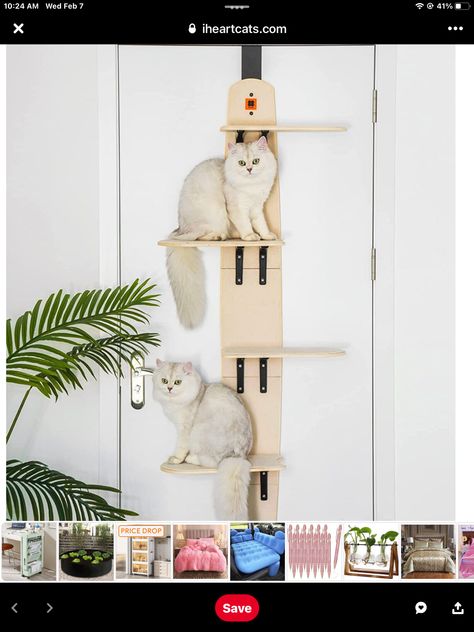 Space Saving Doors, Cat Window Hammock, Cat Climber, Cat Climbing Tree, Window Perch, Vertical Doors, Hanging Bed, Cat Window, Cat Shelves