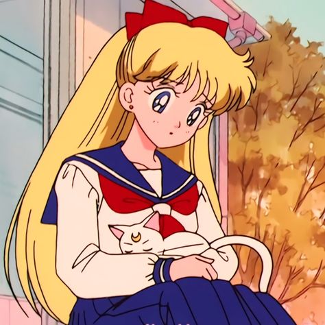 Sailor Venus Pfp, Sailor Venus Icon, Sailor Mar, Minako Aino, Sailor Moon Fan Art, Sailor Moon Cosplay, Sailor Moon Aesthetic, Cartoon Elephant, Sailor Pluto