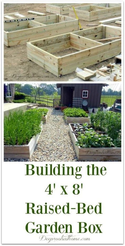 Garden Box Plans, Raised Bed Gardens, Above Ground Garden, Garden Boxes Diy, Raised Bed Garden, Garden Boxes Raised, Vertical Vegetable Garden, Vegetable Garden Raised Beds, Building A Raised Garden