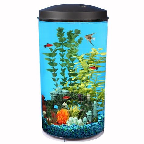 Buy Koller Products Tropical 360 View Aquarium Starter Kit, 6-gal at Chewy.com. FREE shipping and the BEST customer service! 5 Gallon Aquarium, Betta Fish Tank, Fish Supplies, Aquarium Fish Tank, Aquatic Plants, Fish Bowl, Betta Fish, Tropical Fish, Aquarium Fish