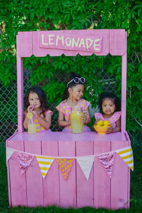 Lemonade Cart, Pink Lemonade Stand, Kids Lemonade Stands, Soft Character, Kids Lemonade, Lemonade Dress, Diy Lemonade Stand, Pink Spray Paint, Cute Banner