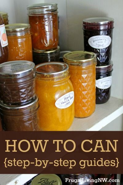 How to Can: Step-by-Step Guides -- Everything you need to know about waterbath canning Canning How To Step By Step, Intro To Canning, Seedless Blackberry Freezer Jam Recipe, Canning Guide, Canning For Beginners, Canning Applesauce, Canning Equipment, Canning 101, Food Preserving