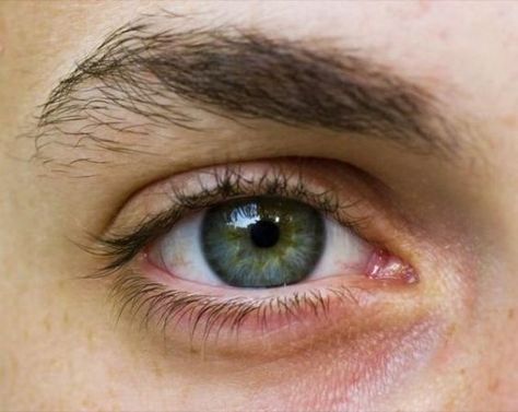 Eye Study, Eye Images, Beautiful Eyes Color, Photos Of Eyes, Human Reference, Color Blind, Male Eyes, Face Reference, Book Aesthetics