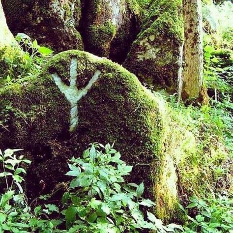 The rune Eolh ᛉ (Algiz or Elhaz or Elk )  :) Good vibes here... Viking Aesthetic, Norse Tattoo, Norse Pagan, Image Nature, Samana, Witch Aesthetic, Geocaching, Norse Mythology, Coven