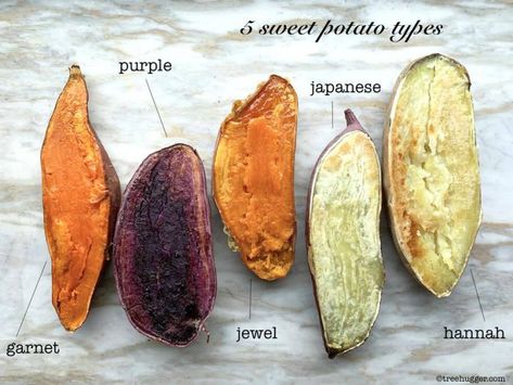 How to bake perfect sweet potatoes #howtobakesweetpotato #sweetpotato #bakedsweetpotato Easy Mashed Sweet Potatoes, Potato Art, Sweet Potato Varieties, Vegetarian Thanksgiving Recipes, Vegan Grocery List, Types Of Potatoes, Japanese Sweet Potato, Vegan Grocery, Vegetarian Thanksgiving