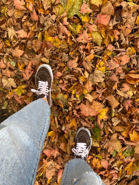 Vans Aesthetic, Brown Vans, Watch Gilmore Girls, Winter Leaves, Fall October, Tøp Aesthetic, Vans Outfit, October Halloween, Aesthetic Winter