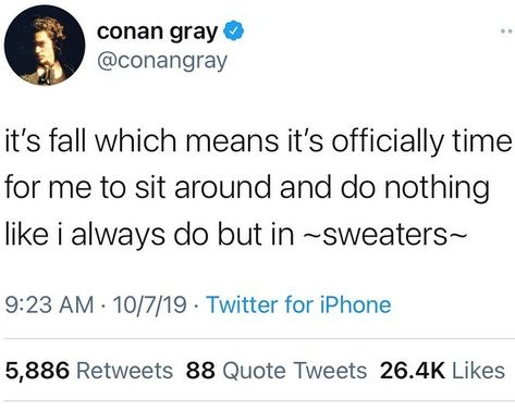 Tweets Music, Music Tweets, Cone Head, Conan Grey, Grey Quotes, Conan Gray Aesthetic, Grey Stuff, Gray Aesthetic, Hashtag Relatable