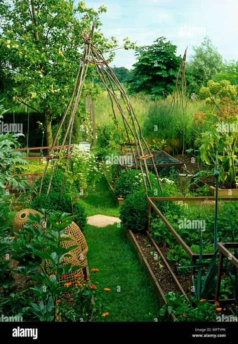 Lots Of Plants, Vegetable Garden For Beginners, Potager Garden, Garden Vines, Veg Garden, Have Inspiration, Vegetable Garden Design, Garden Photos, Veggie Garden