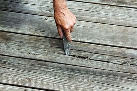 Renewing a Deck with an Elastomeric Coating Decks Designs, Cottage Deck, Deck Refinishing, Deck Resurfacing, Deck Renovation, Deck Maintenance, Deck Restoration, Yard Makeover, Deck Remodel