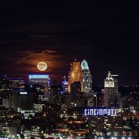 Cincinnati Bengals Aesthetic, University Of Cincinnati Aesthetic, Cincinnati Ohio Aesthetic, Cincinnati Aesthetic, Cincinnati University, Cincinatti Ohio, Cincinnati Chili, Cincinnati Skyline, Cincinnati Bengals Football